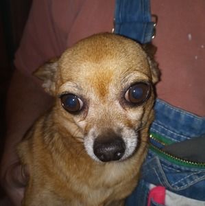 Meet your Posher, Danny